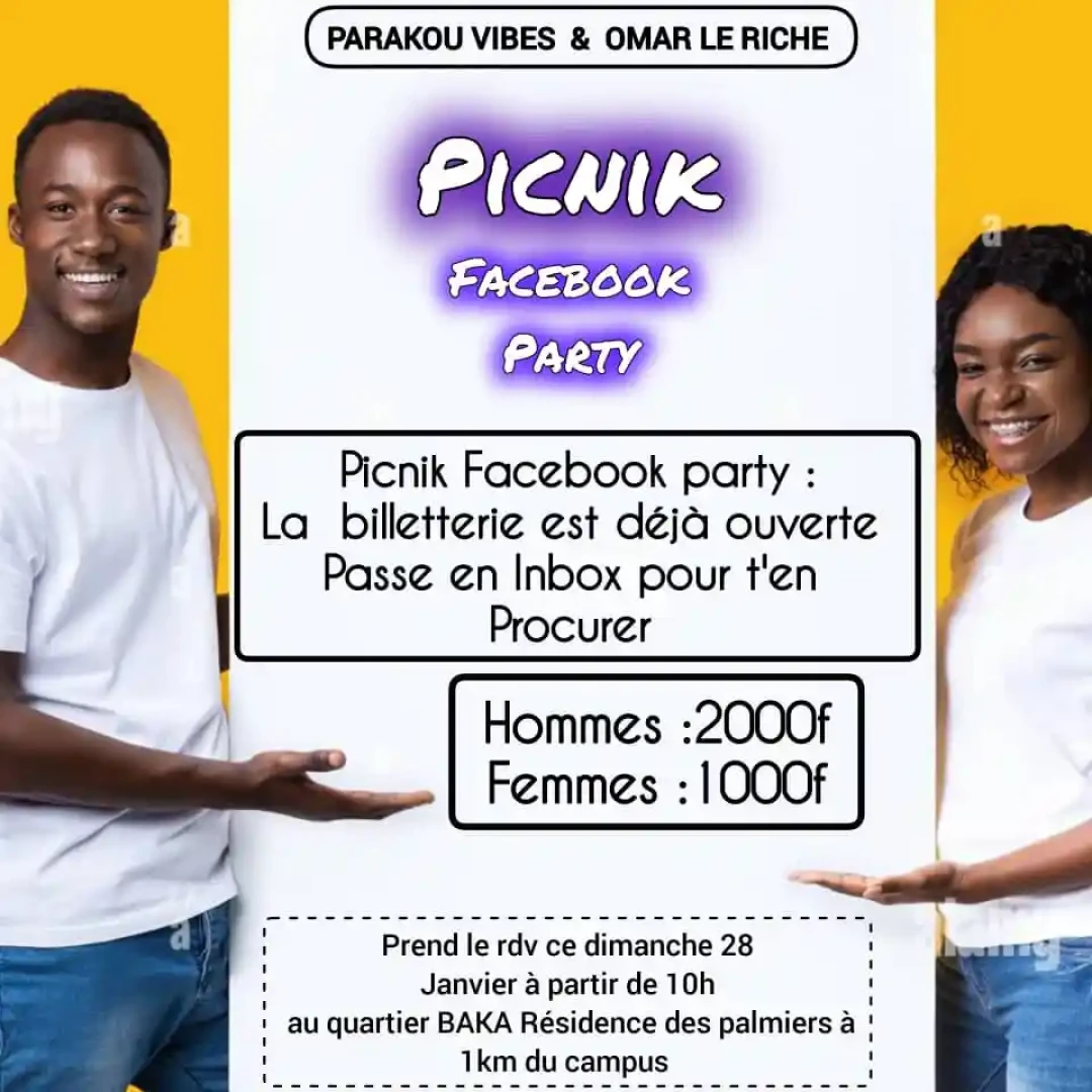 Affiche Picnik Facebook Party